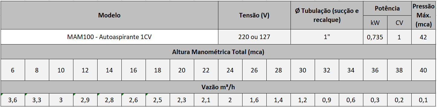 Curva de Desempenho - Motobomba